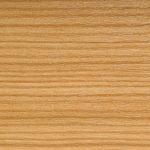 76pino-di-montagna_zo